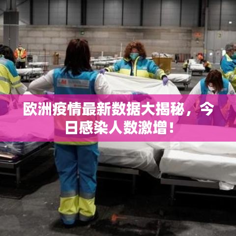落土飞岩