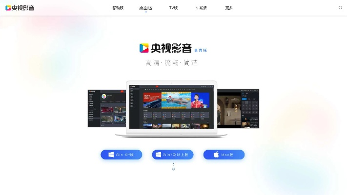 央视影音版本，数据支持方案解析_入门版_v5.143，新手友好指南