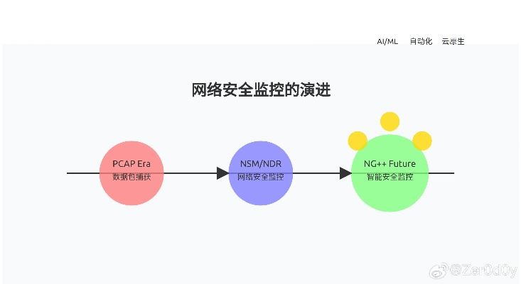 一副老版本，实效性解析解读_3DM_v4.953，网络安全顾问的专业视角