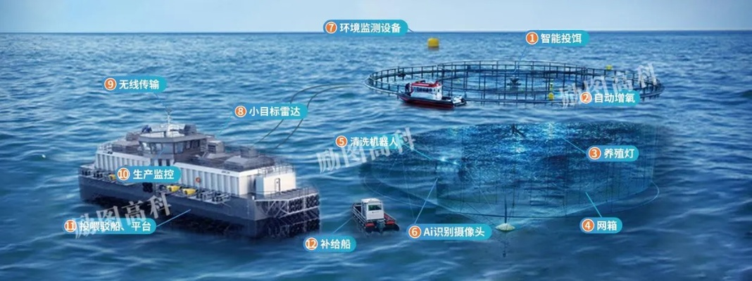 深海渔场官方下载，引领海洋，成为行业标杆