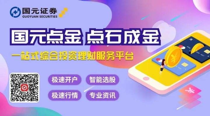 国元点金两个版本,最佳选择解析说明|网红版_v10.349