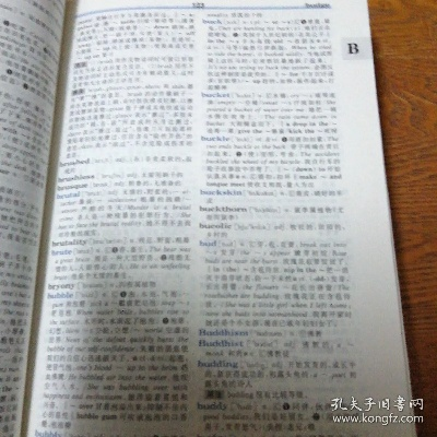 乱online单机版和新英汉词典官方下载,精细化解读说明&3K_v7.680