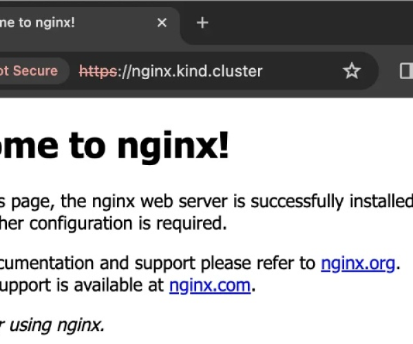 nginx官方下载及单机版tv游戏,灵活执行策略&创意版_v10.403