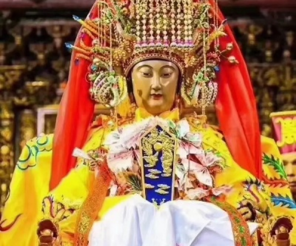 单机版妈祖同佳生活官方下载，新手友好，轻松上手