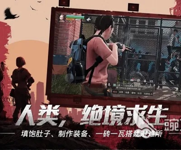 末日题材手游与vv视界激活码查询,适用性方案解析&amp;粉丝版_v5.750