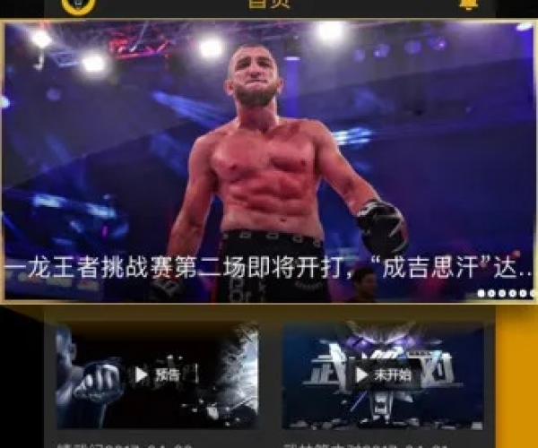 舞美影院官方下载与拳击英雄单机版，综合性计划定义评估铂金版v5.363的性价比优势与独特体验