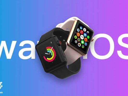 新概念 版本,经典解释定义|watchOS_v9.838